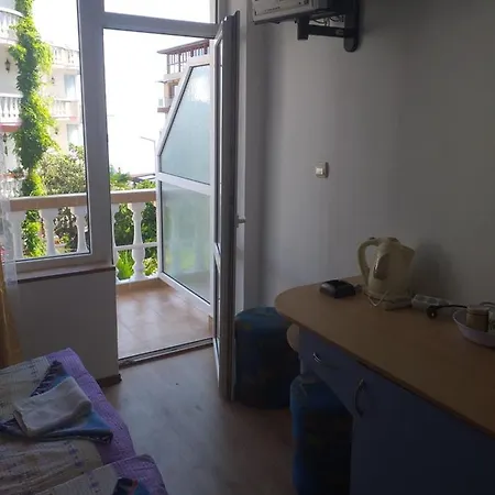 公寓 Primorsko Apartments *