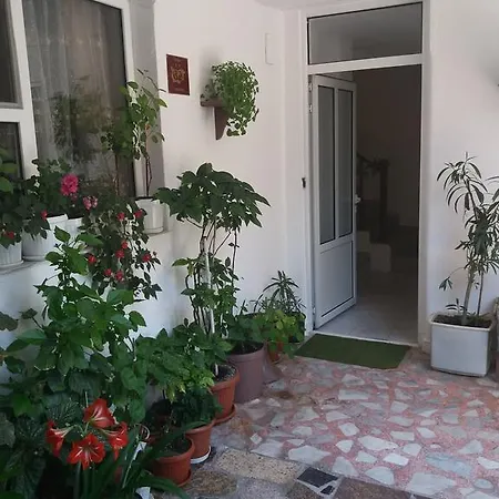 Апартаменты Primorsko Apartments